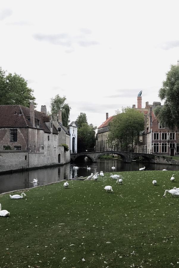 Odevaere - Charming & Luxurious Apartment With Terrace Bruges Exterior foto